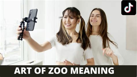 what is the art of zoo